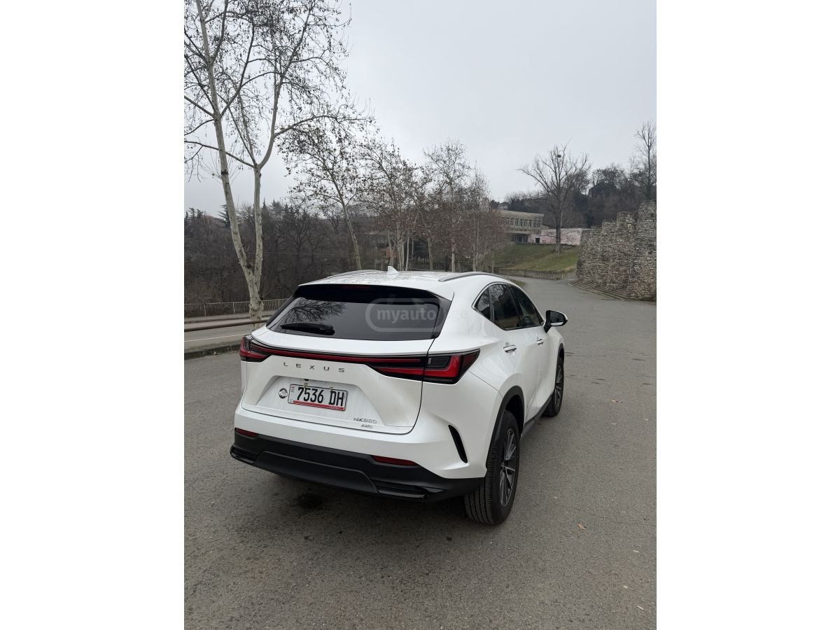 Lexus NX 350 - фото 5