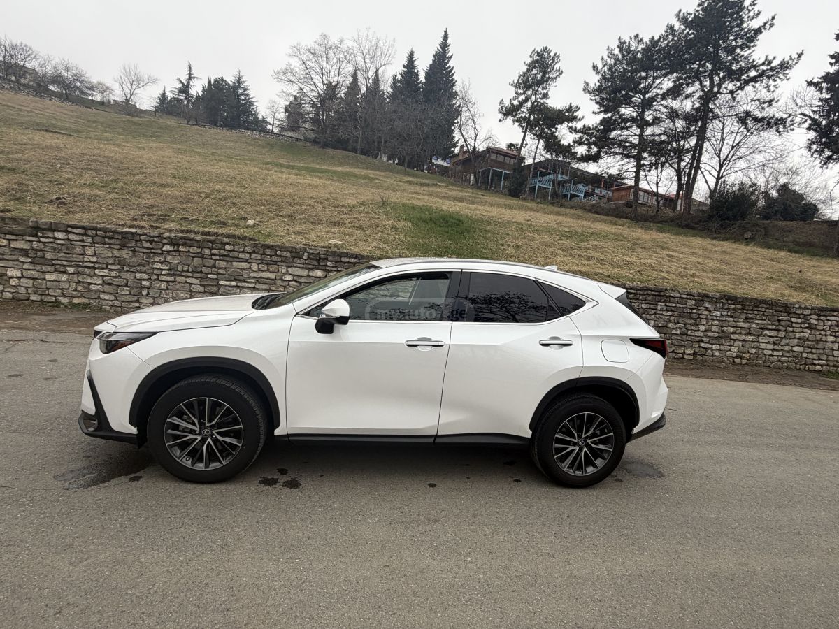 Lexus NX 350 - фото 9