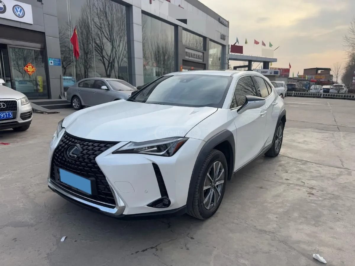 Lexus UX 250 h - фото 9