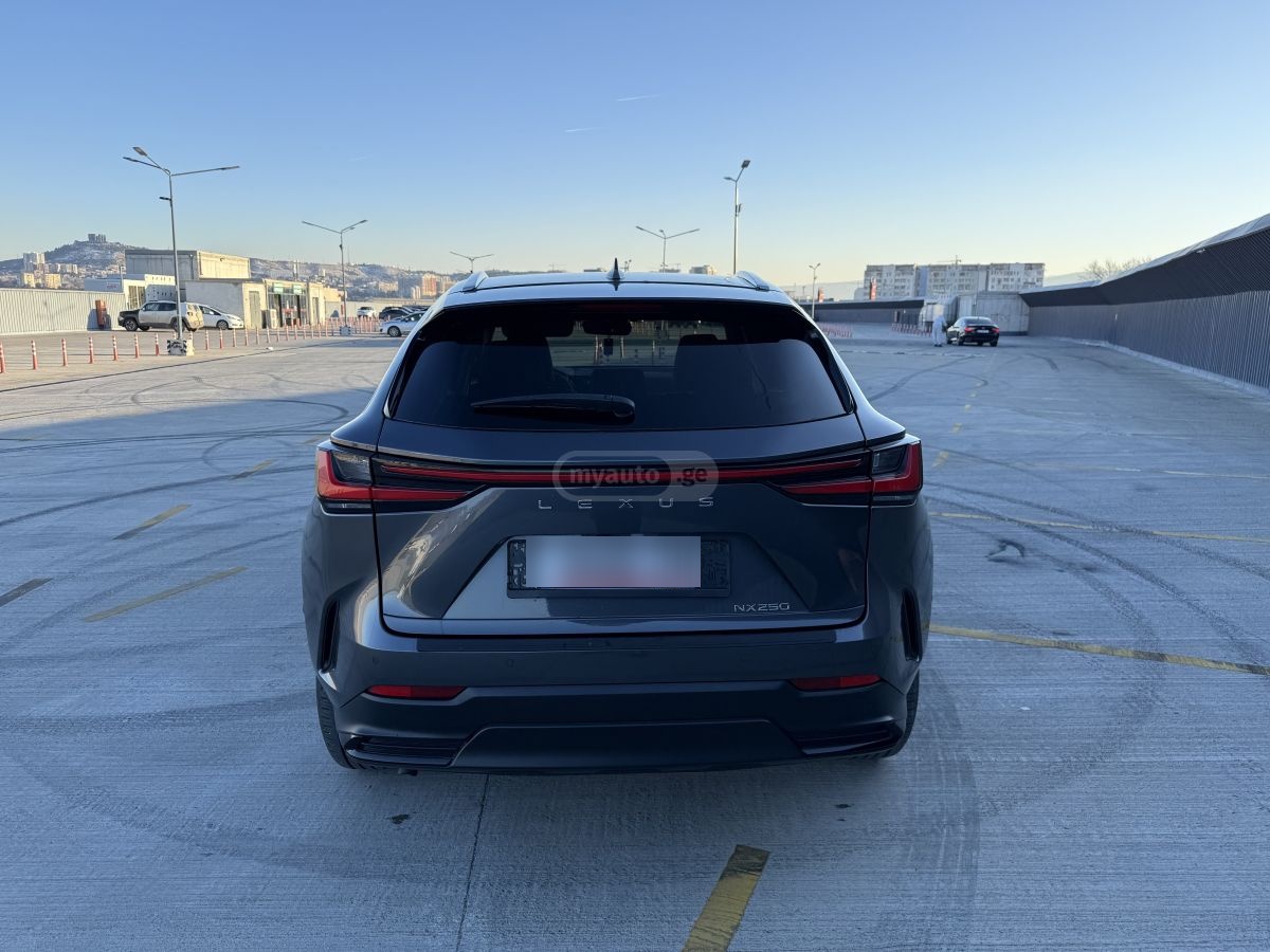 Lexus NX 250 - фото 3