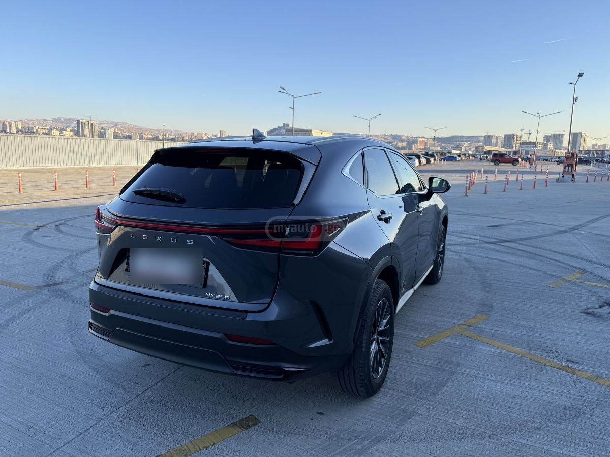 Lexus NX 250 - фото 4