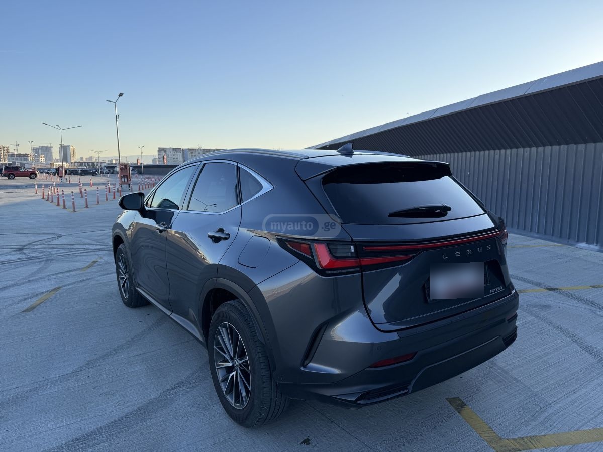 Lexus NX 250 - фото 6