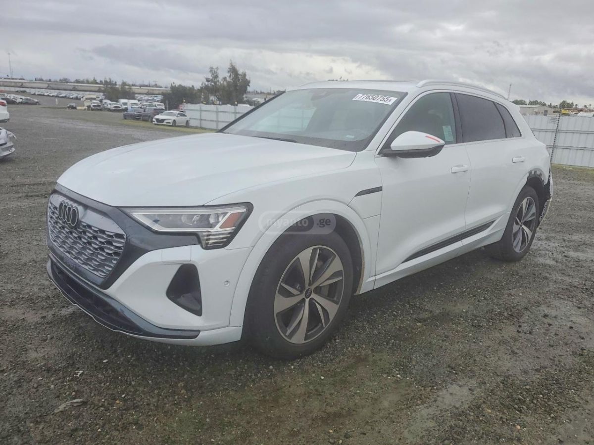 Audi Q8 2024 — миниатюра 1