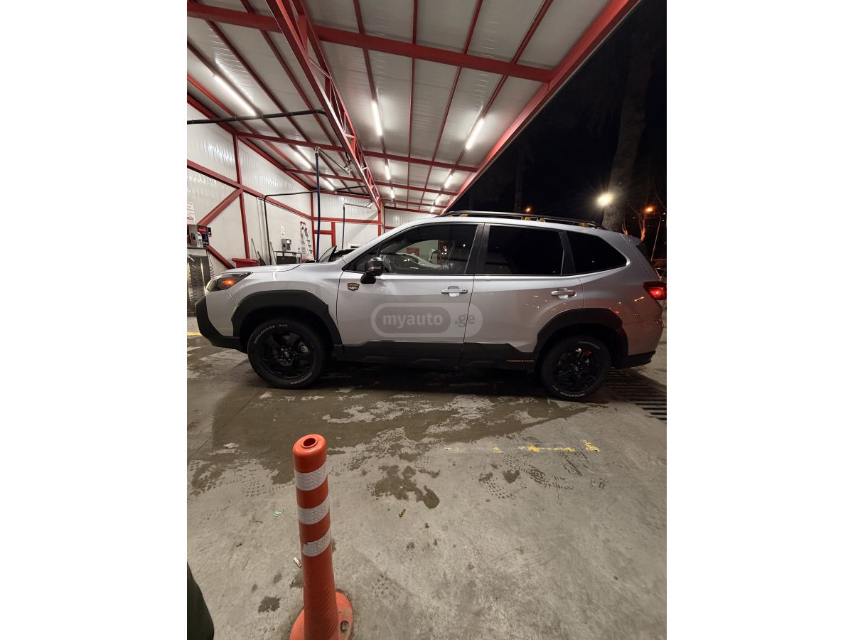 Subaru Wilderness — миниатюра 4