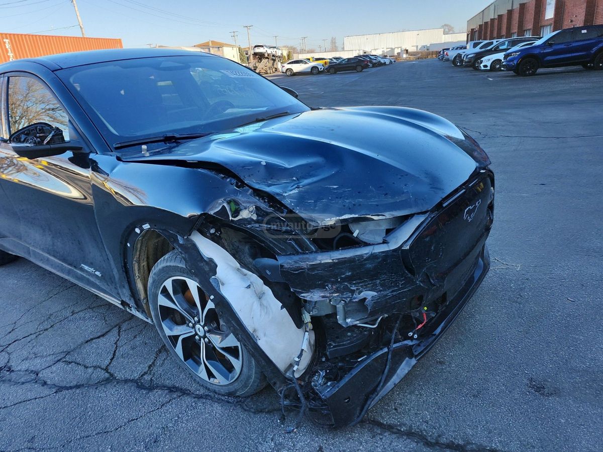 Ford Mustang Mach-E - фото 3