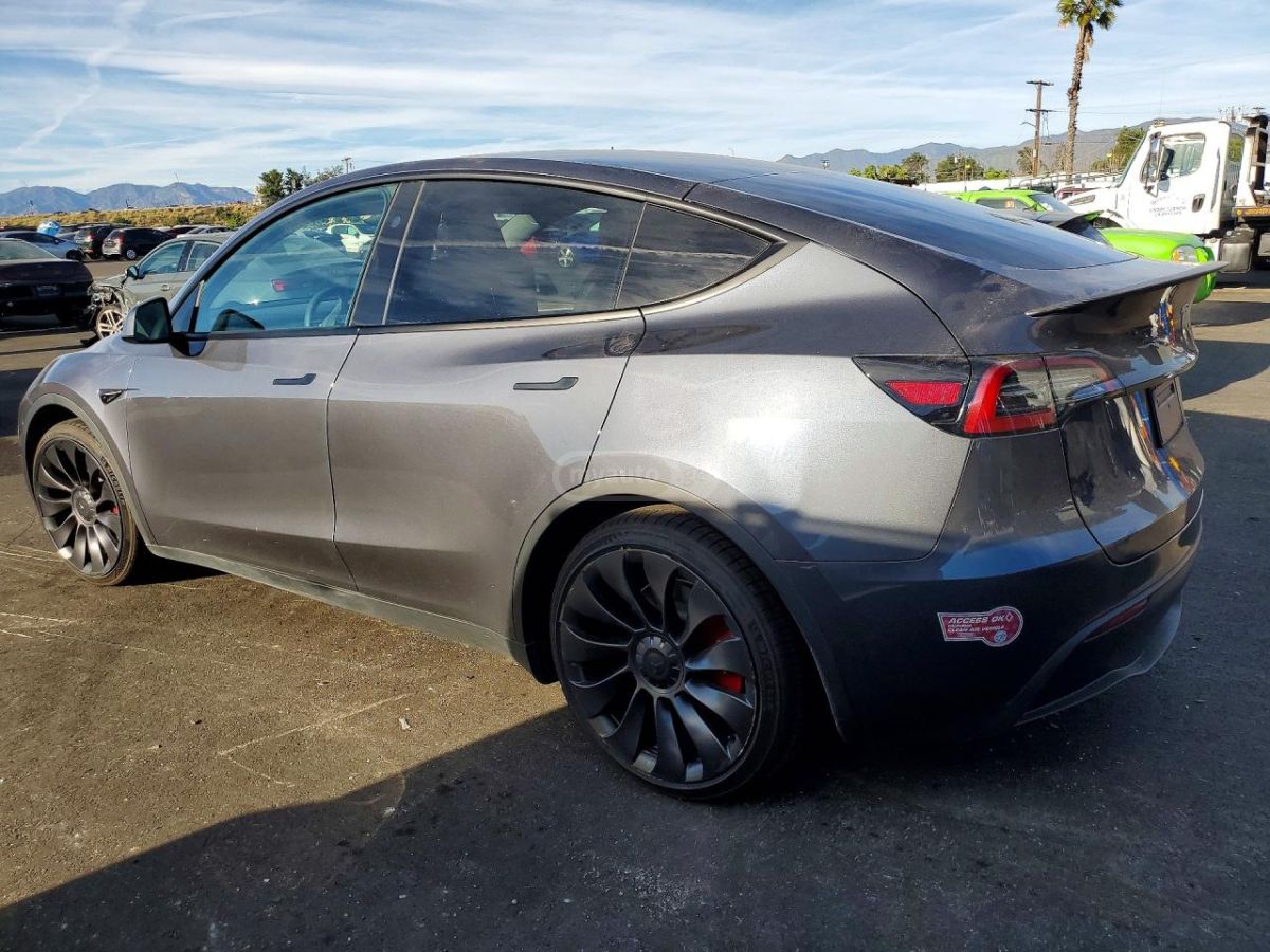 Tesla Model Y - фото 2