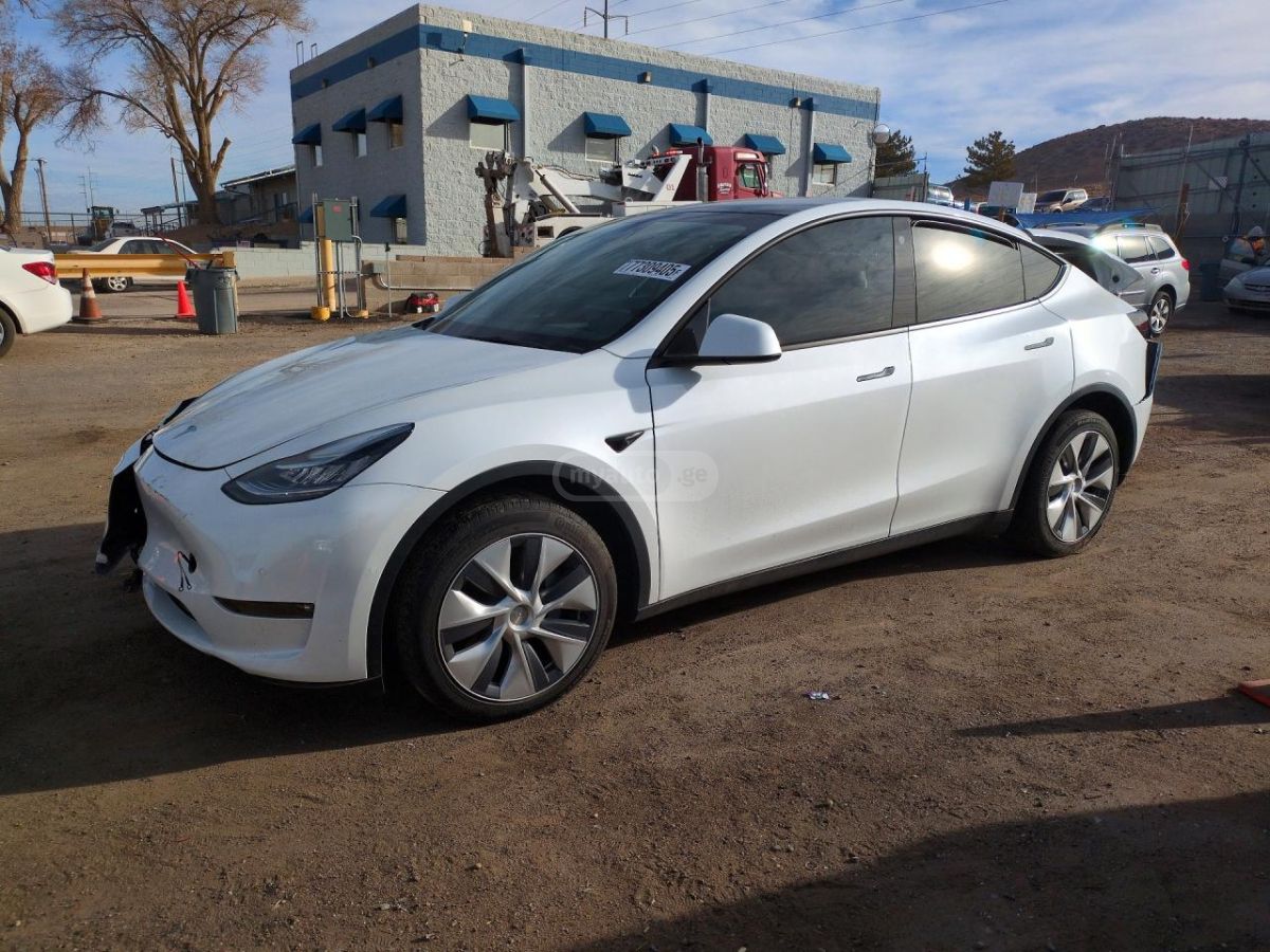 Tesla Model Y - фото 1