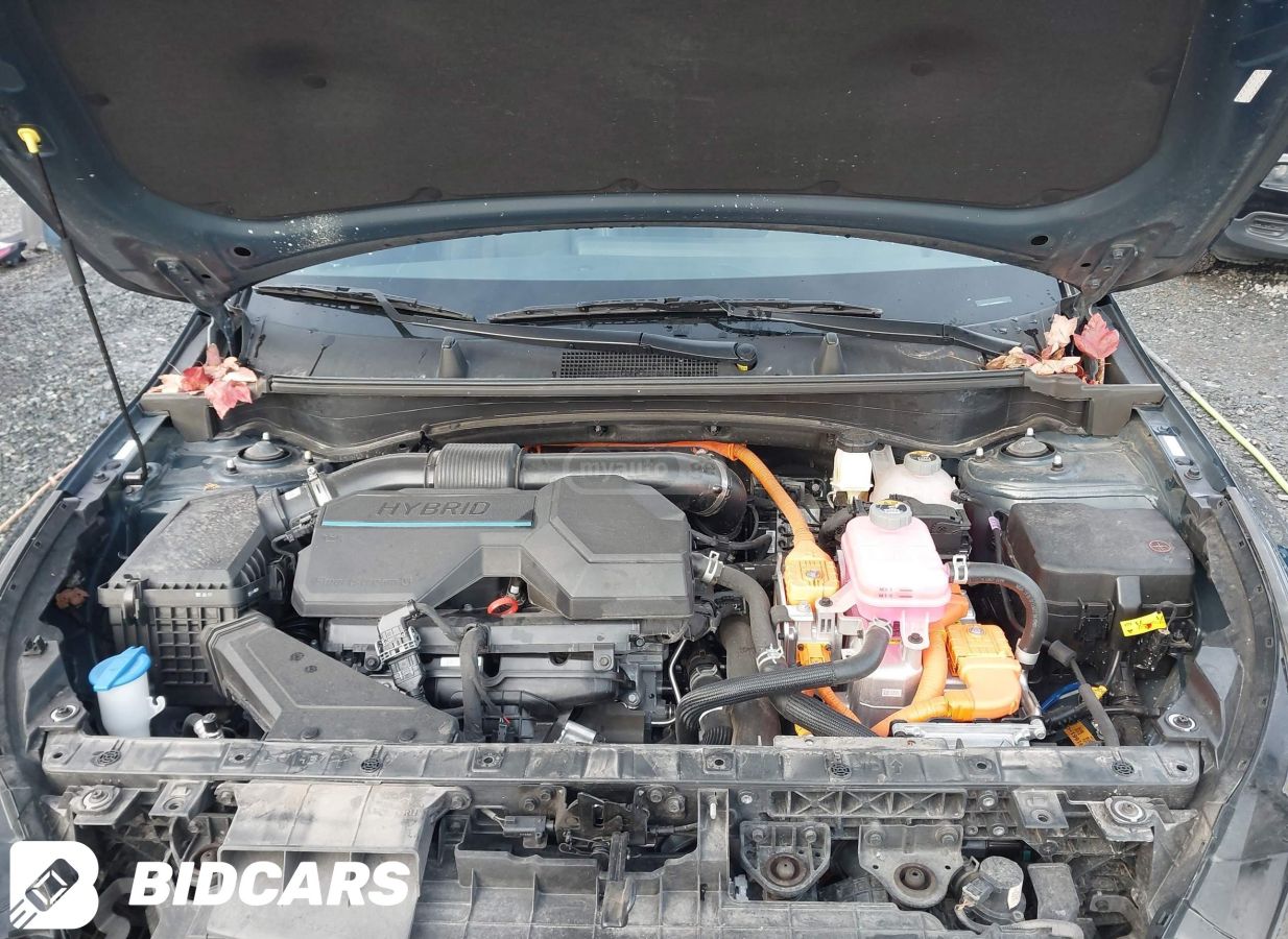 Kia Sportage - фото 10