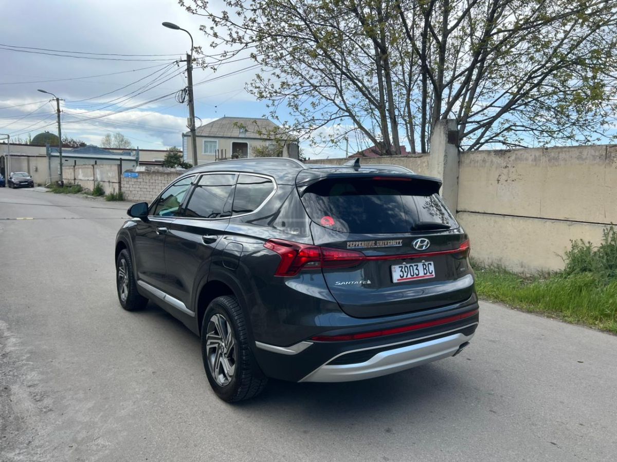 Hyundai Santa Fe - фото 10