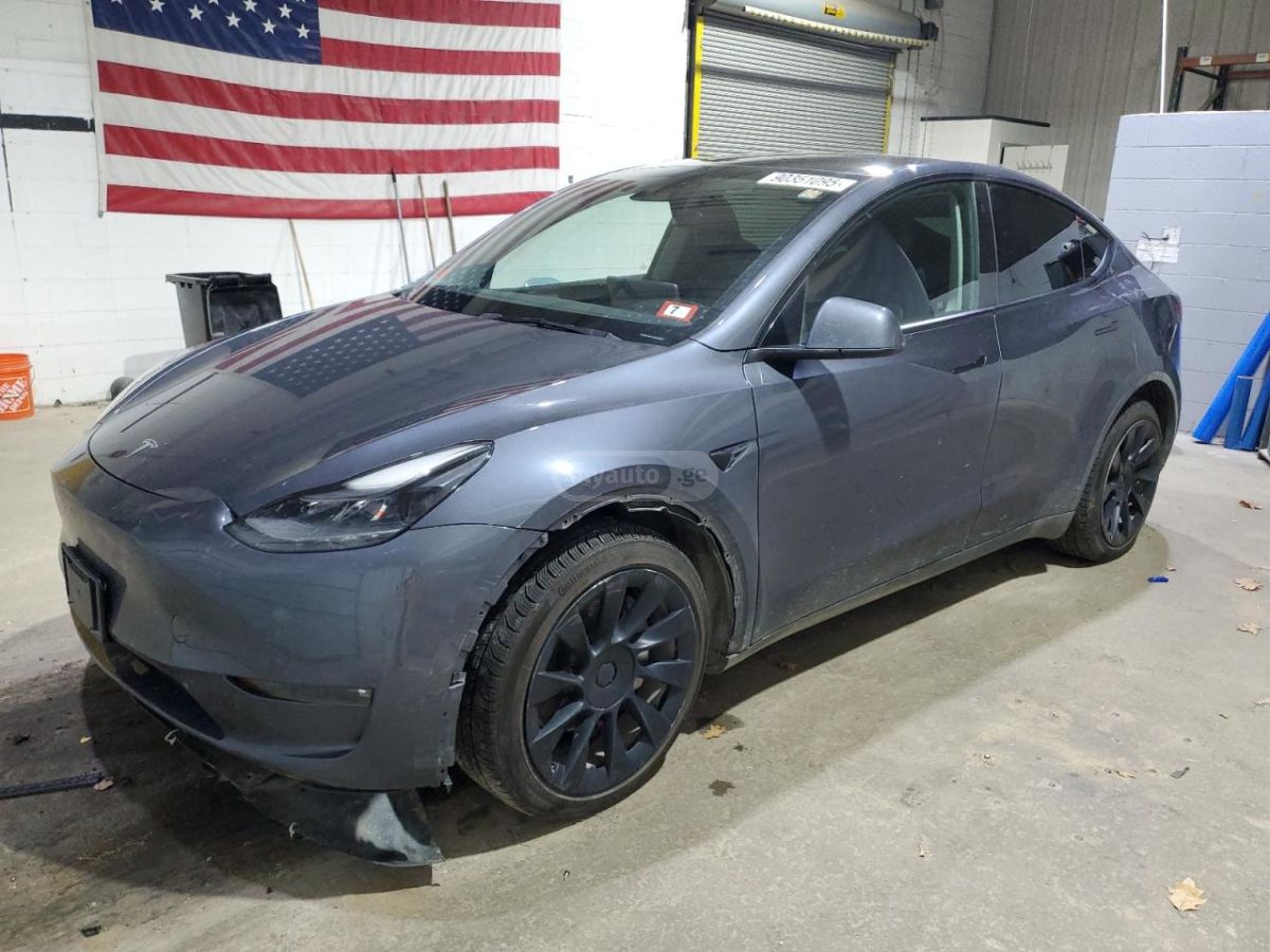 Tesla Model Y - фото 1