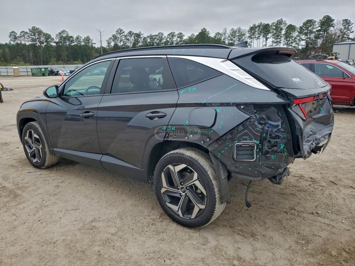 Hyundai limited — миниатюра 2