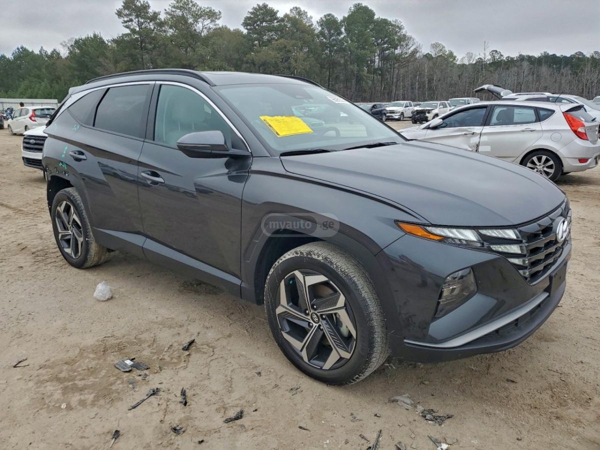 Hyundai limited — миниатюра 4