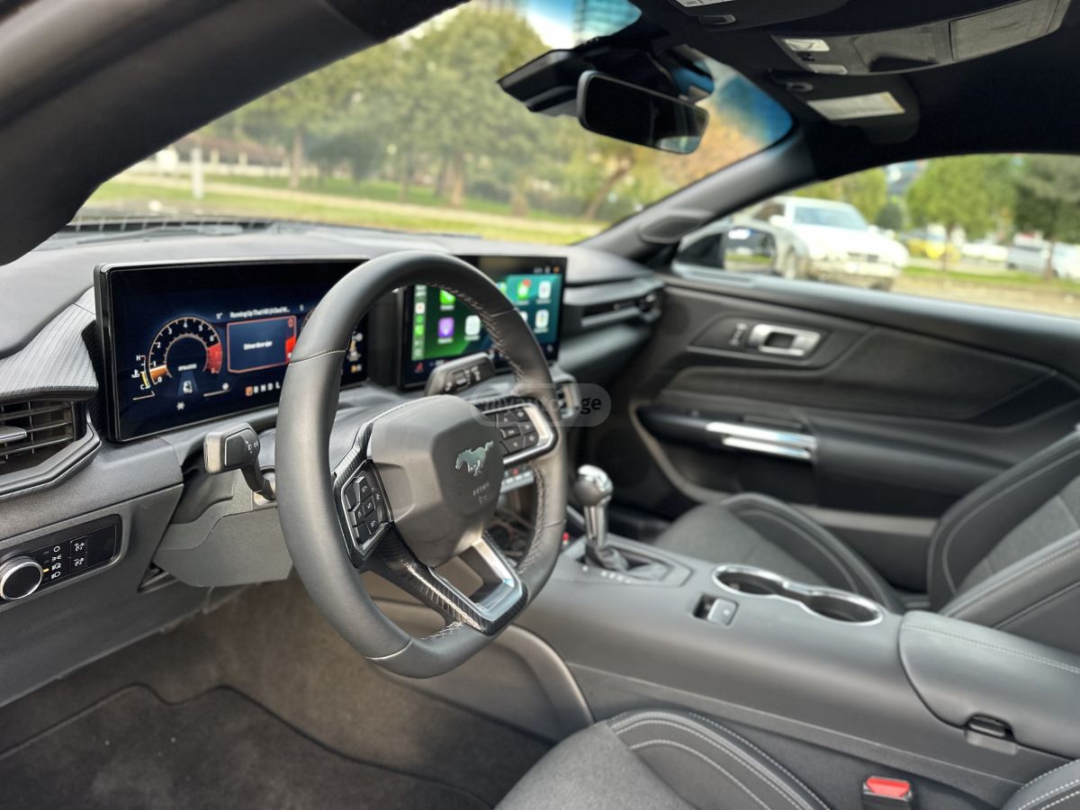 Ford  — миниатюра 15