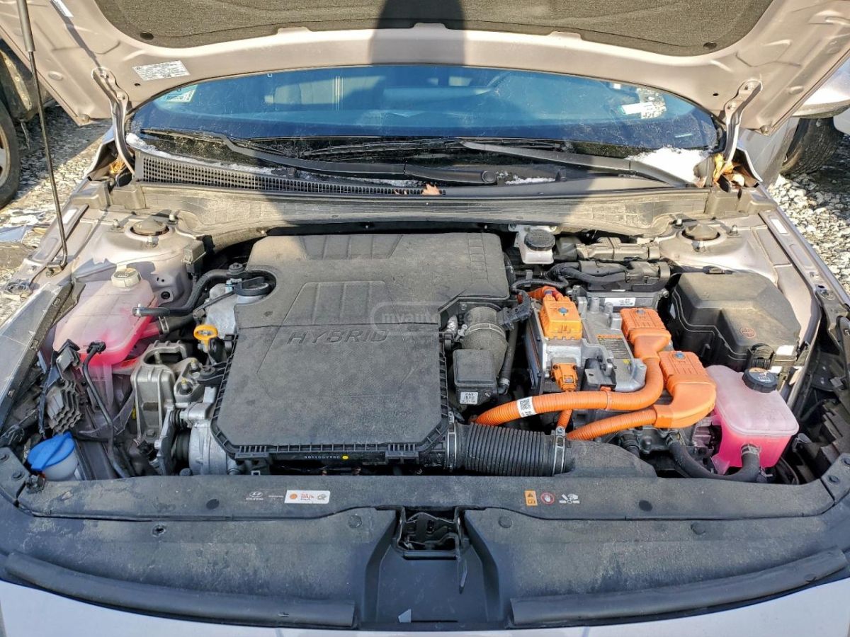 Hyundai Elantra - фото 11