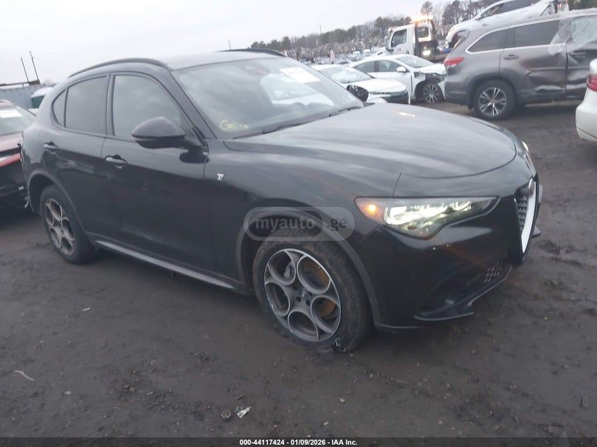 Alfa Romeo Stelvio 2024 — миниатюра 1