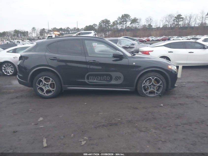 Alfa Romeo Stelvio 2024 — миниатюра 14