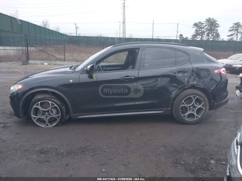 Alfa Romeo Stelvio 2024 — миниатюра 15