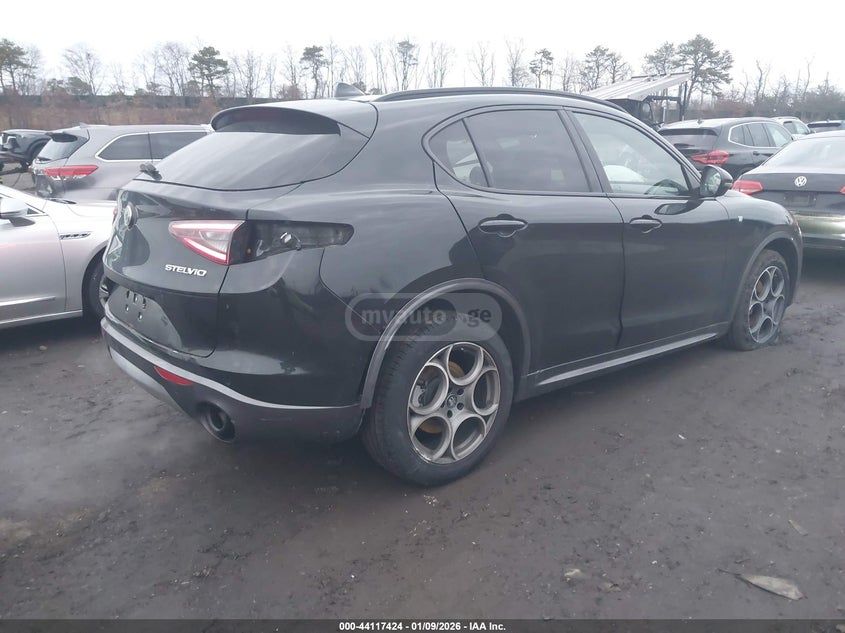 Alfa Romeo Stelvio 2024 — миниатюра 4