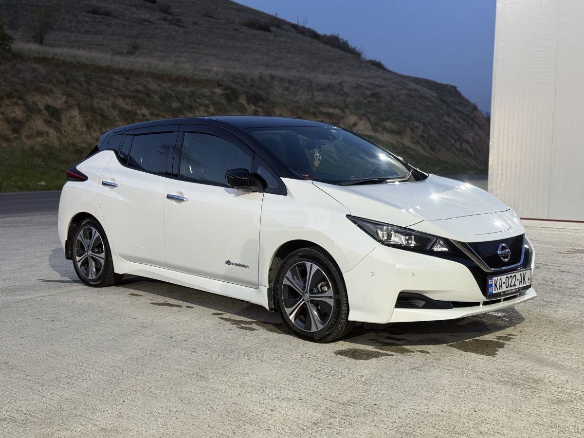Nissan Leaf - фото 1