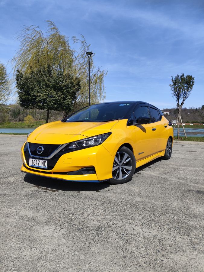 Nissan Leaf - фото 1