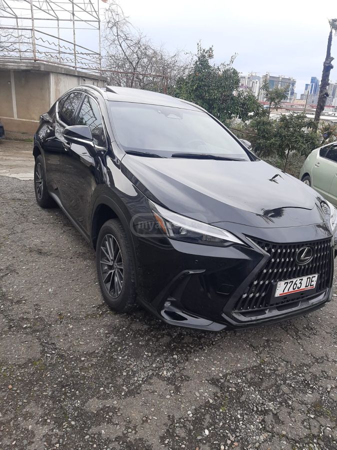 Lexus NX 350 - фото 1