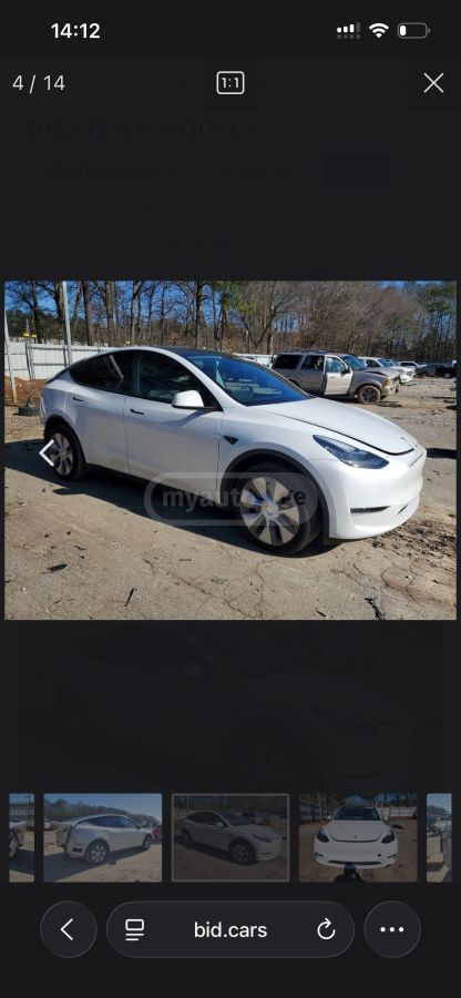 Tesla Model Y - фото 1