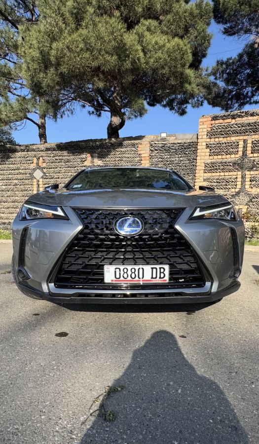Lexus UX 250 h - фото 2
