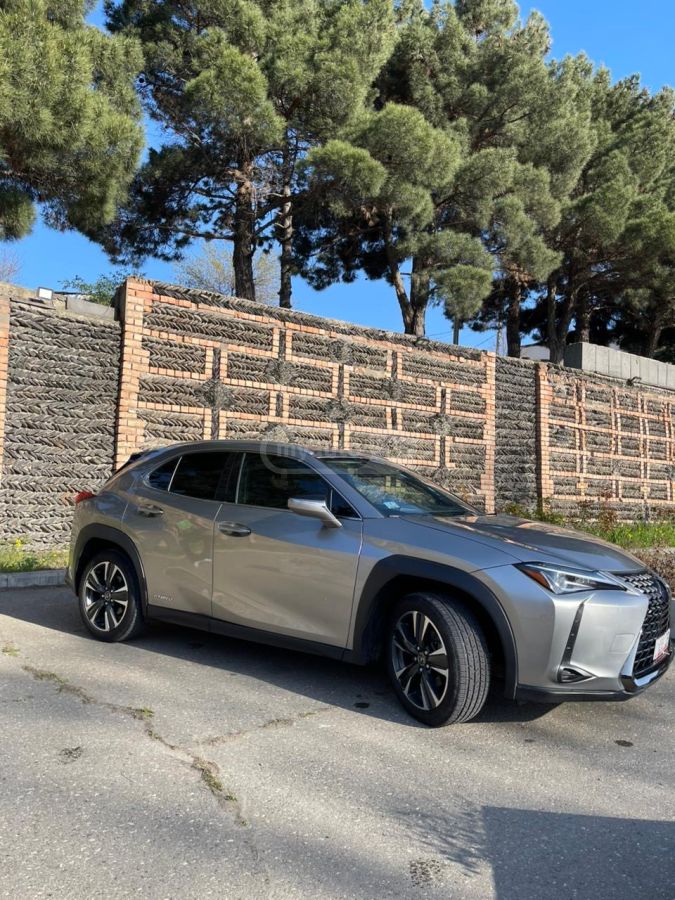 Lexus UX 250 h - фото 6