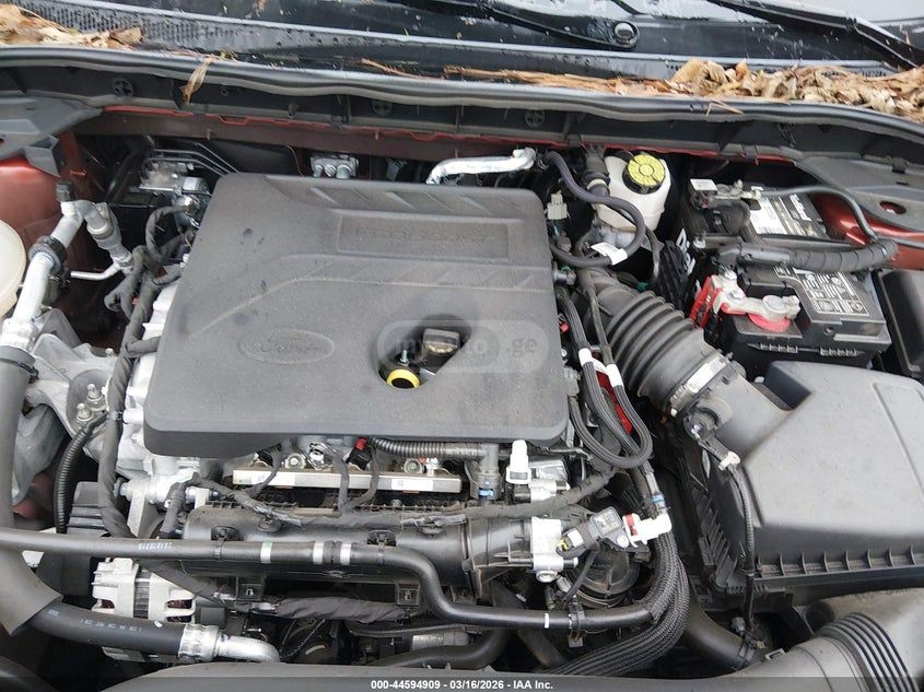 Ford Escape - фото 10