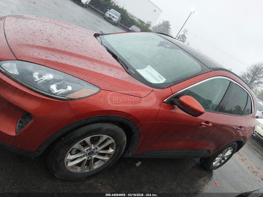 Ford Escape - фото 14