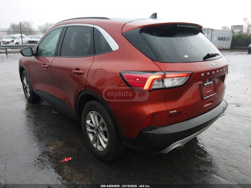 Ford Escape - фото 3