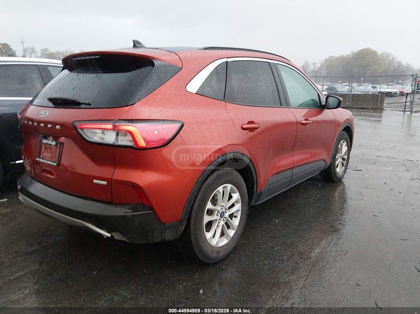 Ford Escape - фото 4