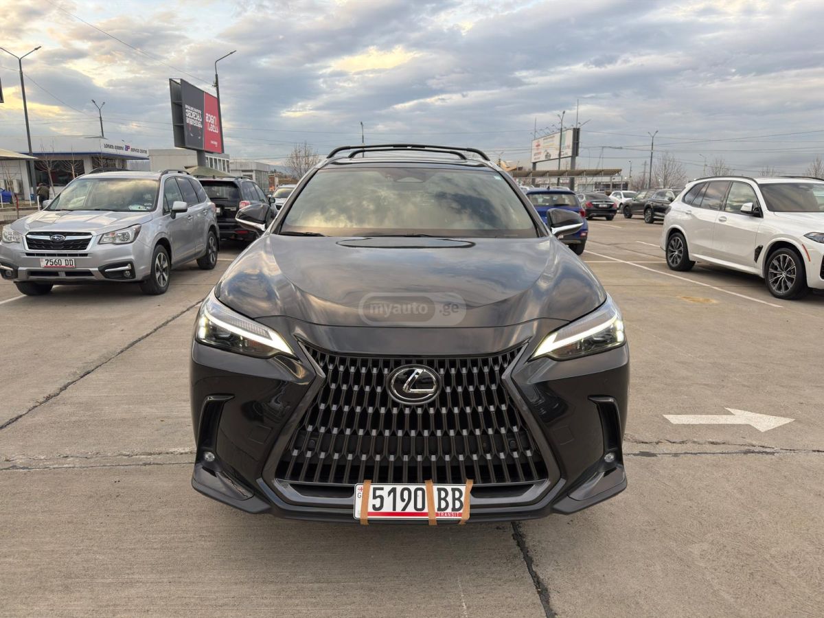 Lexus NX 250 - фото 1