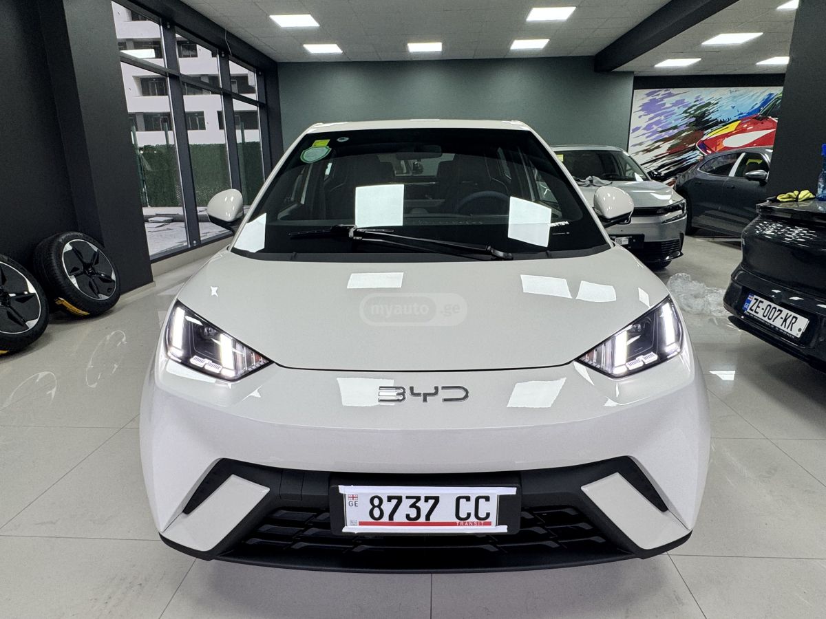 BYD Seagull 