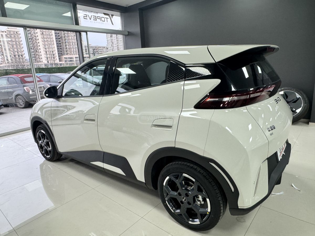 BYD Seagull 