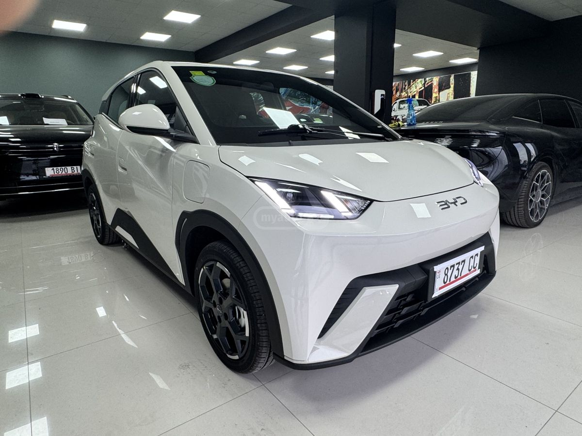BYD Seagull 