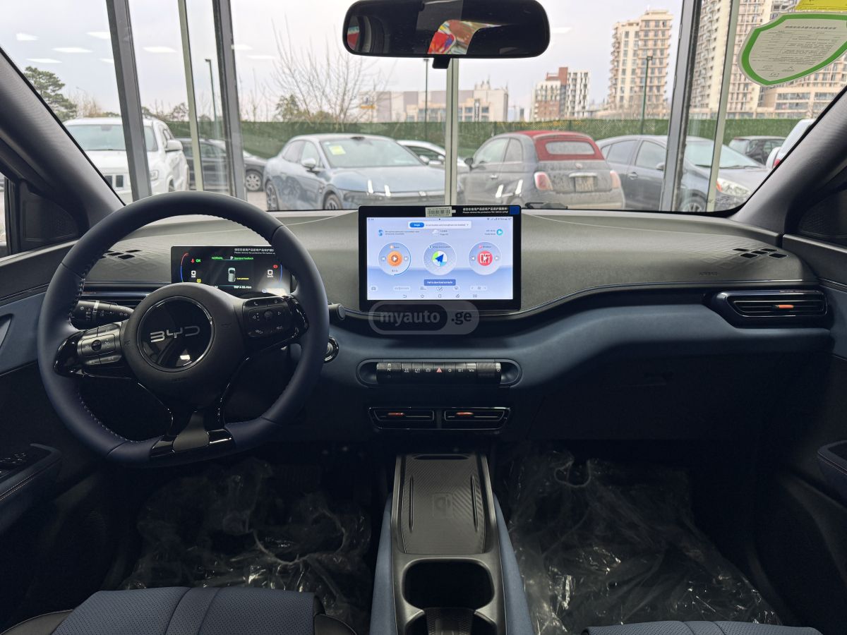 BYD Seagull 