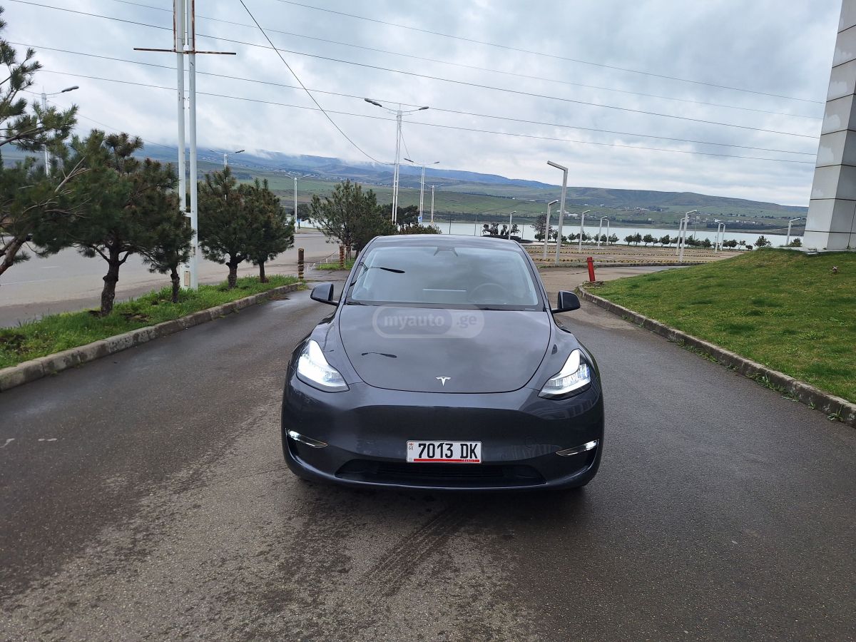 Tesla Model Y - фото 1