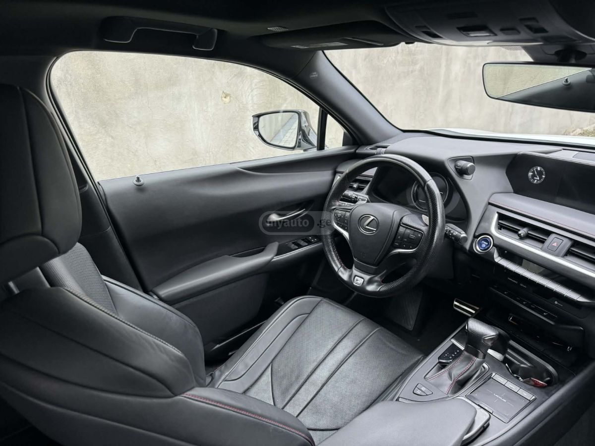 Lexus UX 250 h - фото 10