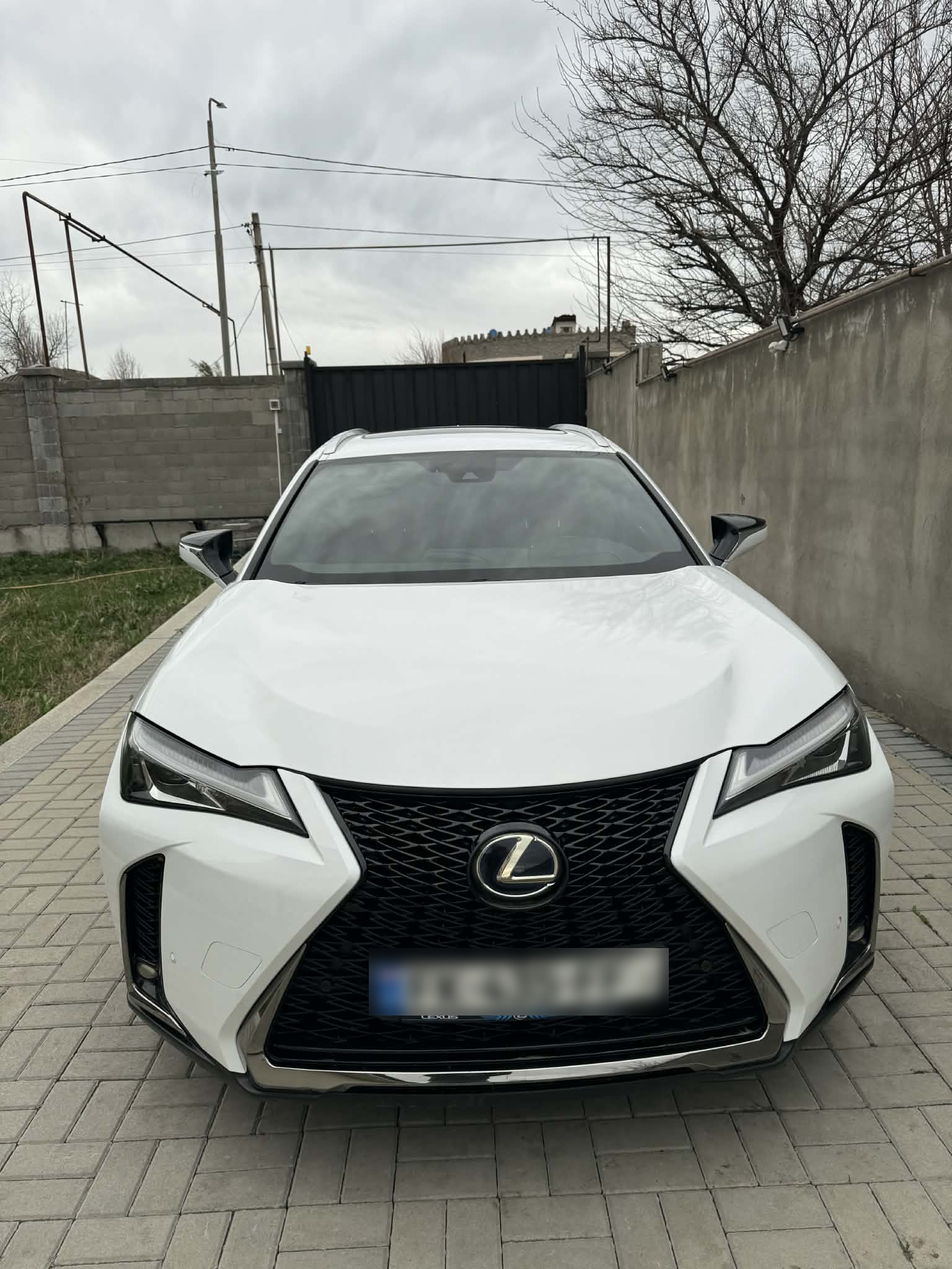 Lexus UX 250 h - фото 2