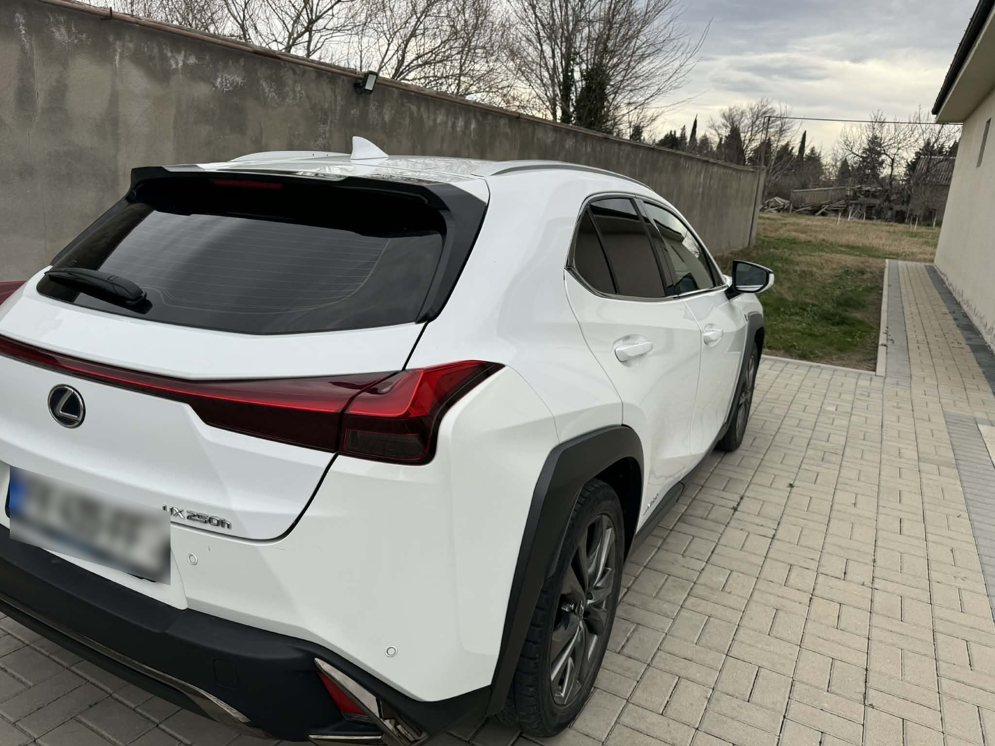 Lexus UX 250 h - фото 3