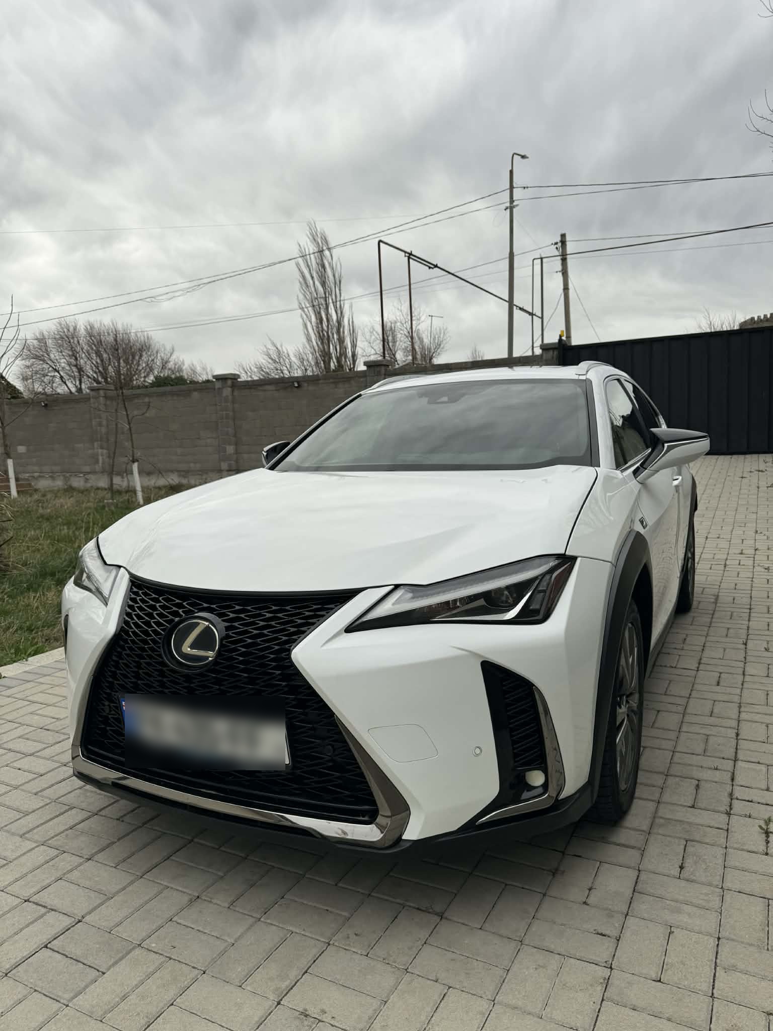 Lexus UX 250 h - фото 4