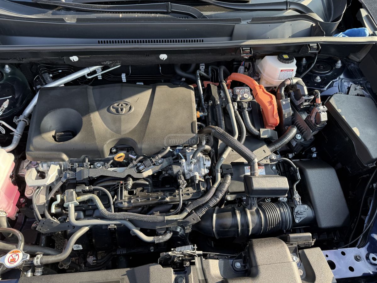 Toyota XLE Premium 4dr All Wheel Driv — миниатюра 14