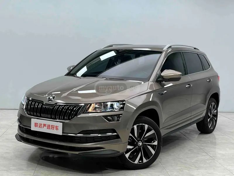 Skoda Karoq 2025 — миниатюра 1