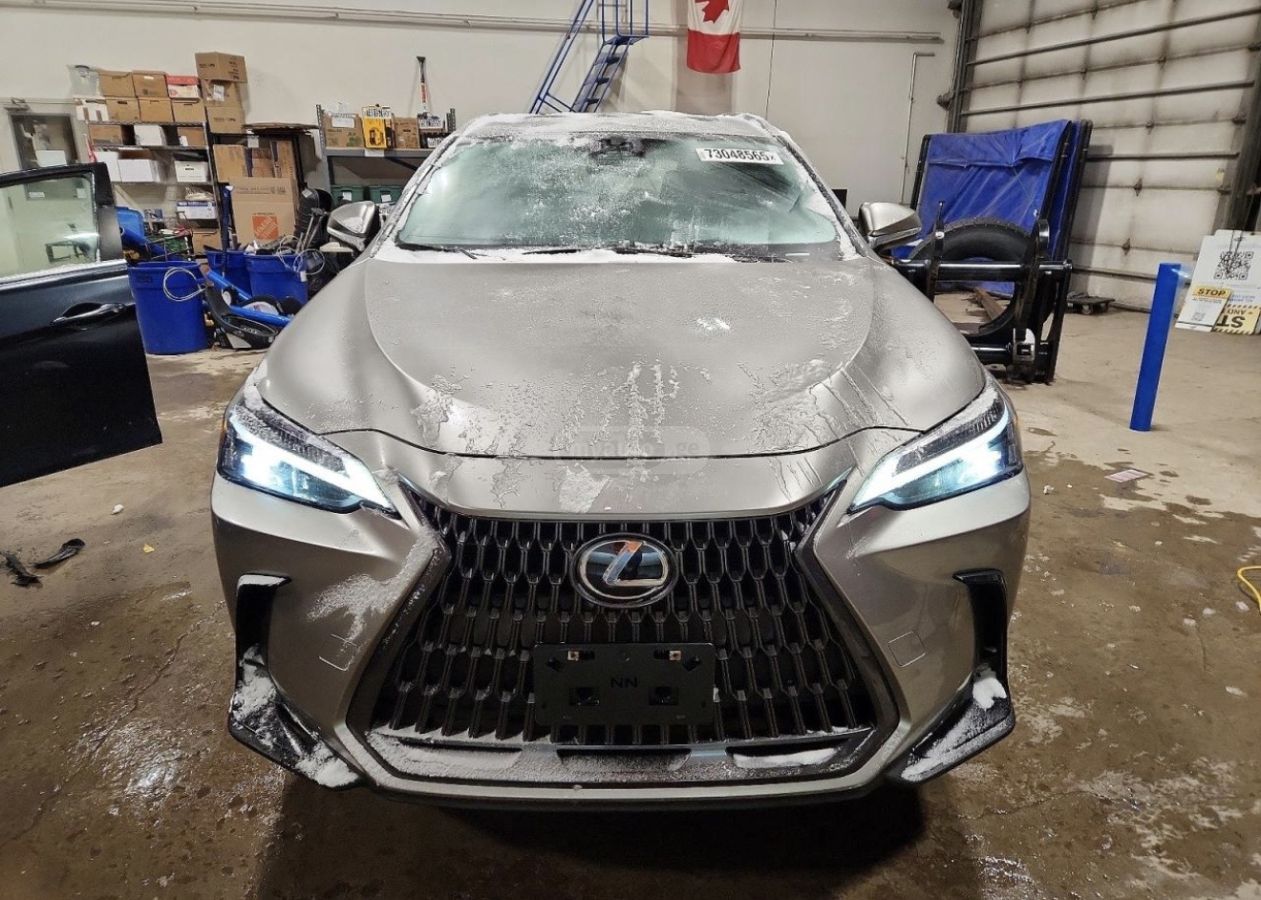 Lexus NX 350 - фото 10