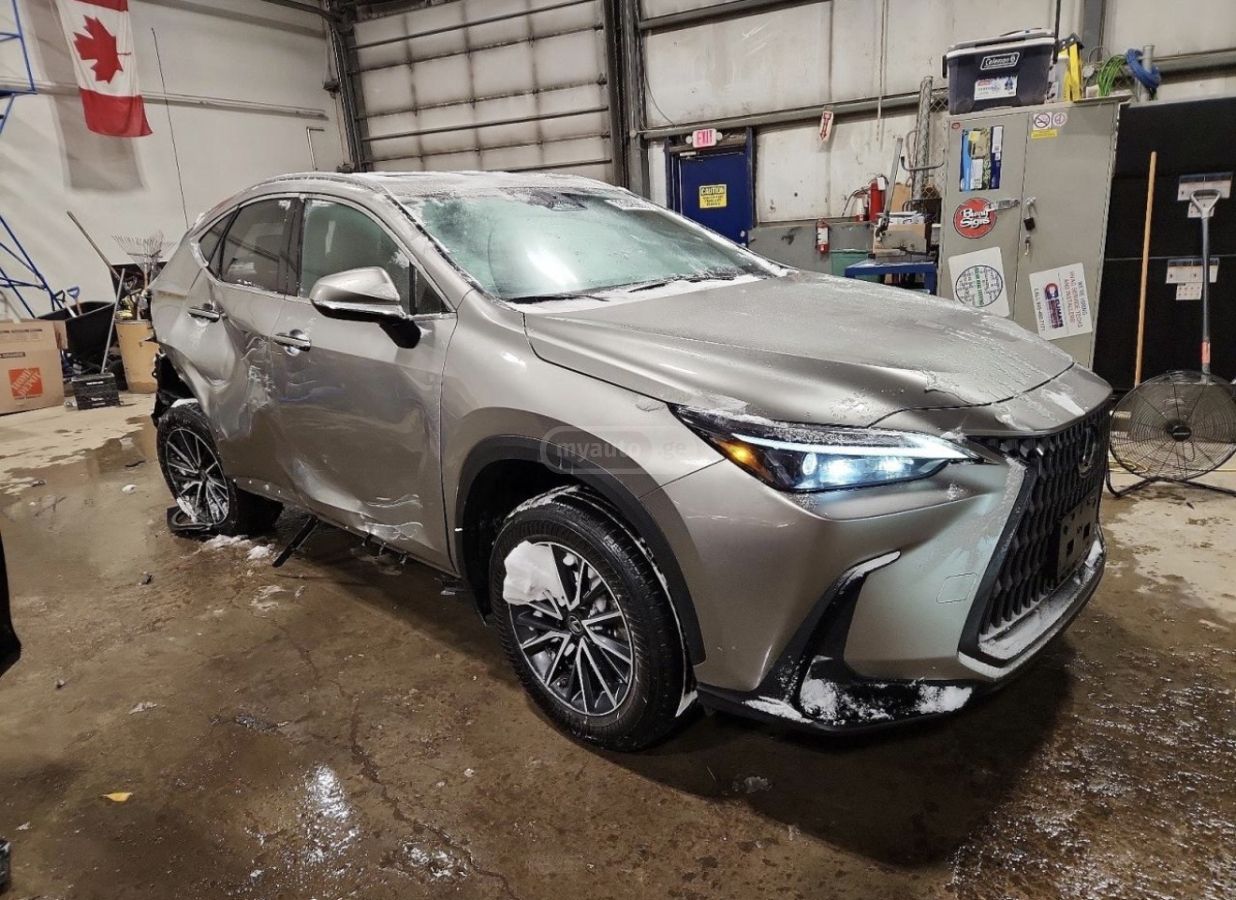 Lexus NX 350 - фото 11