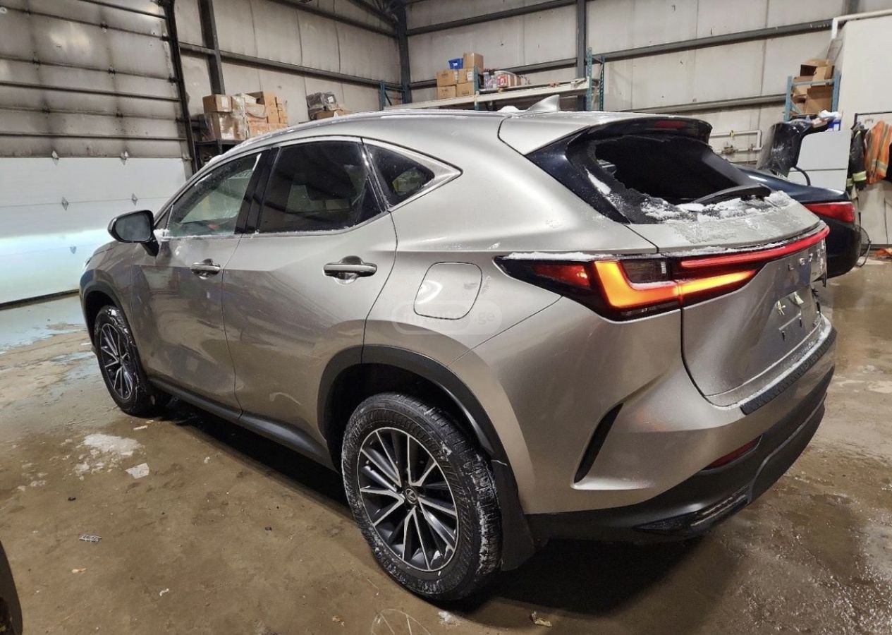 Lexus NX 350 - фото 13