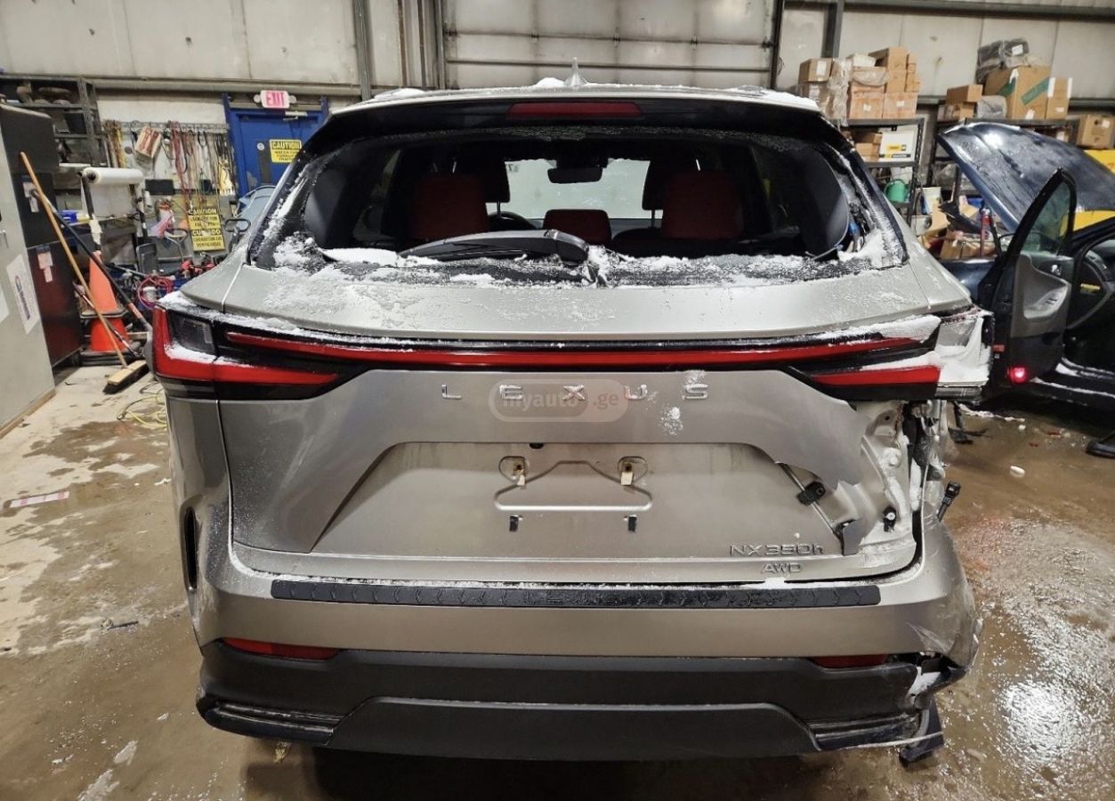 Lexus NX 350 - фото 9