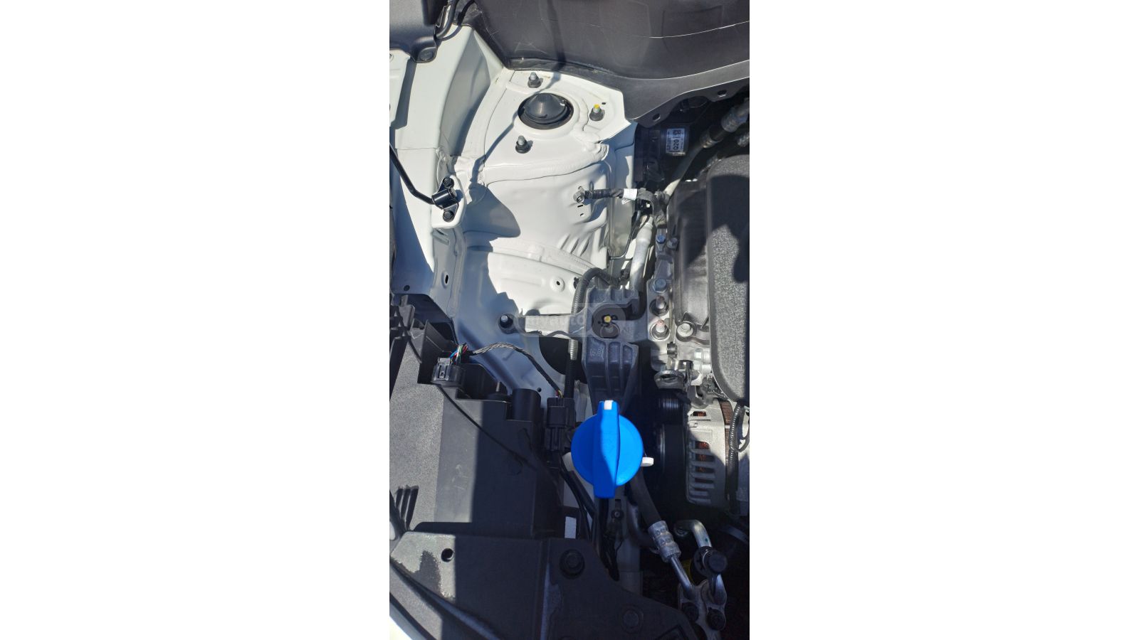 Kia Seltos - фото 2