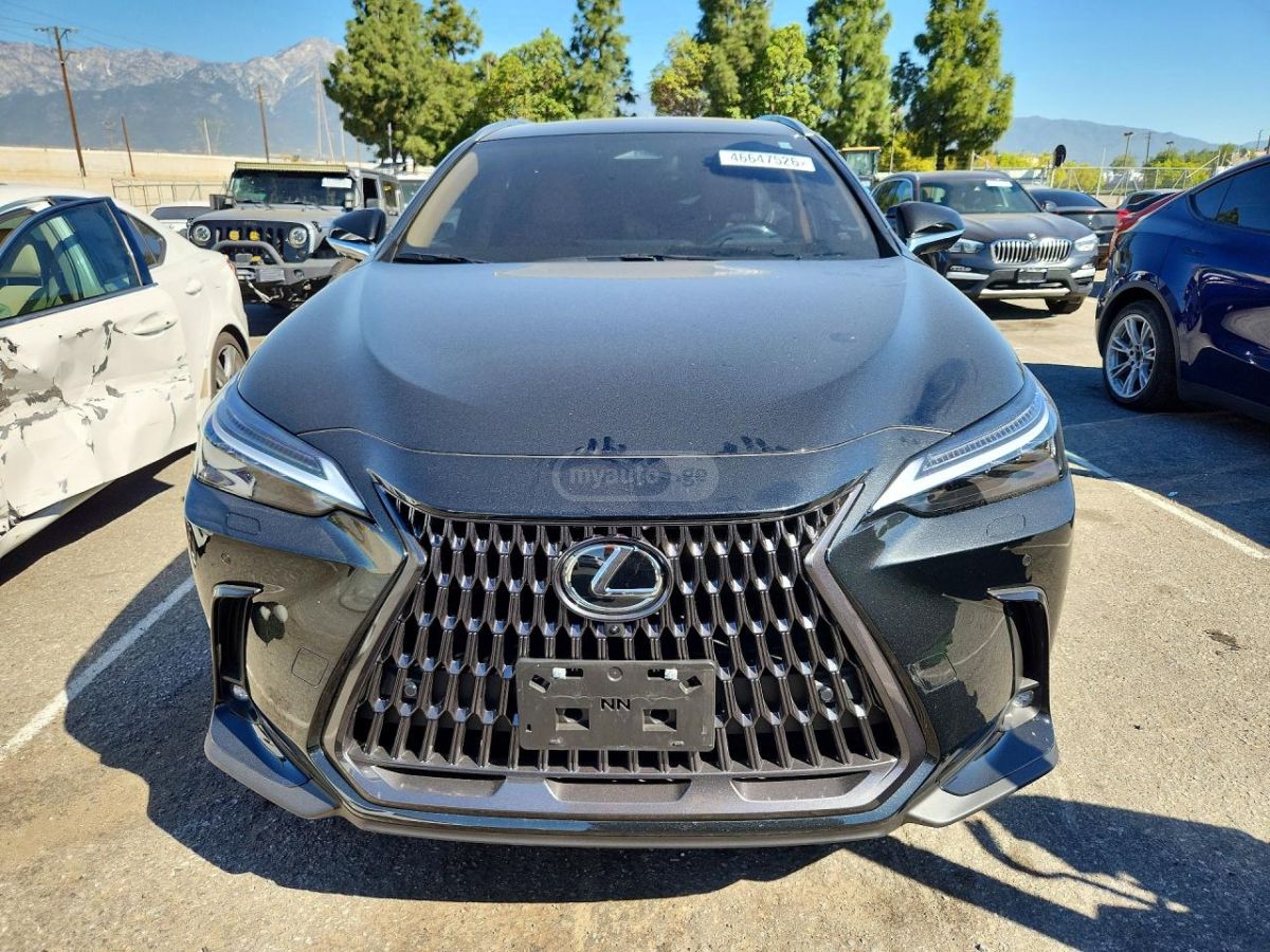 Lexus NX 450 2025 — миниатюра 5